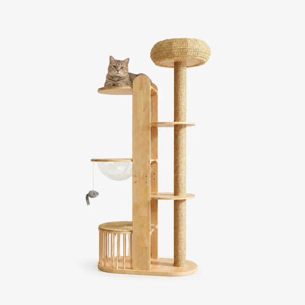 Faro kattenkrabpaal met kat op platform – houten kattenboom met meerdere platforms, sisal krabpaal en transparante hangbal
