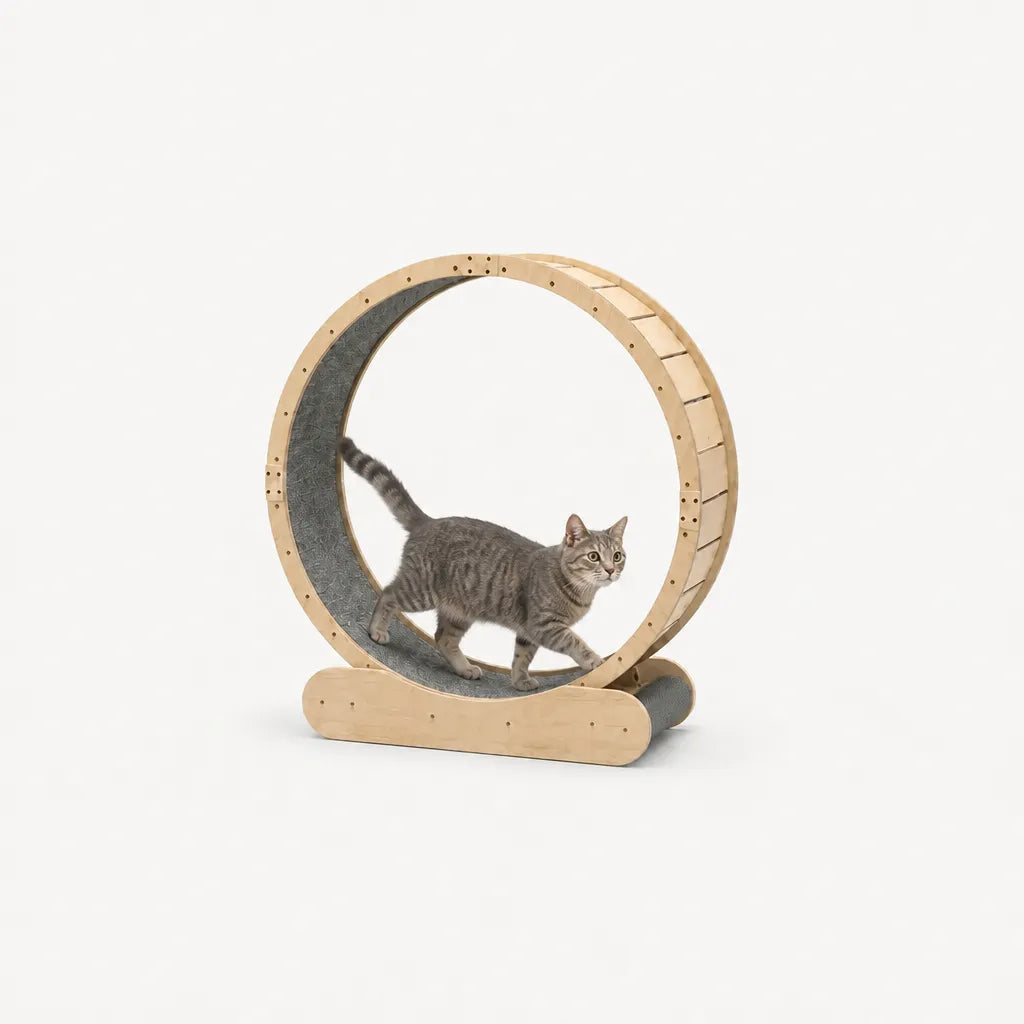 Aurelia kattenloopwiel met kat – rond houten loopwiel berkenlaminaat met antislip vilten loopvlak
